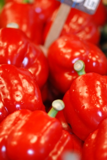 dsc_0017-b dsc_0017-b