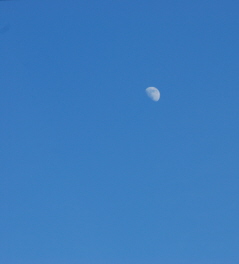 Afternoon Moon