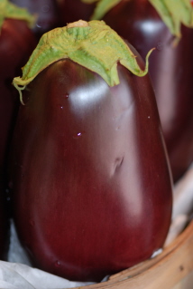 Eggplant