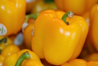 Yellow Pepper Yellow Pepper