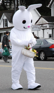 Easter Bunny