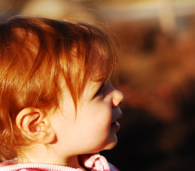 Looking towards the Future