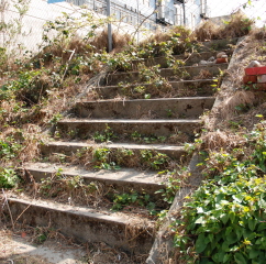 Stairs to .........