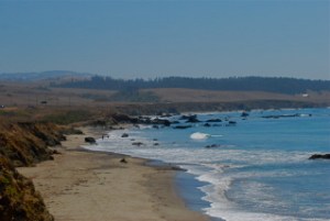 Beach at San Simeon