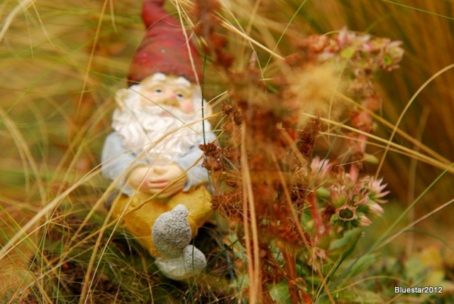 gnome