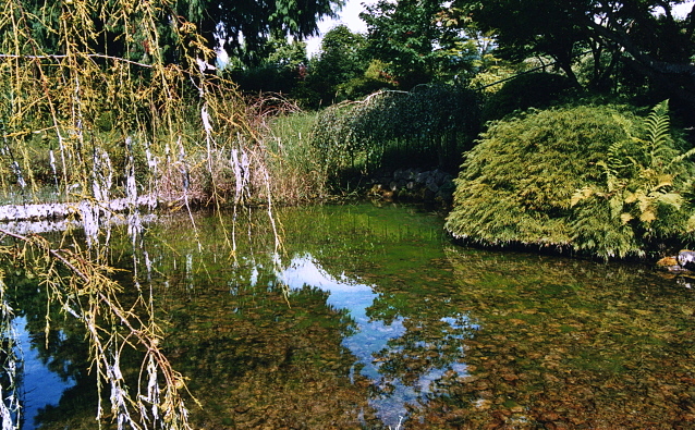 Pond 
