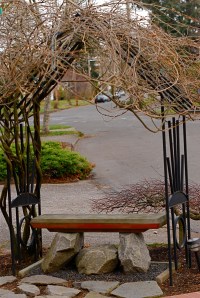 Winter Contemplation