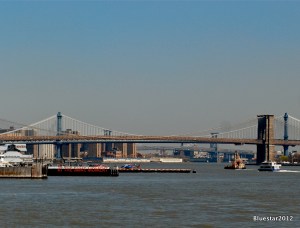DSC_0267
