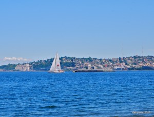 DSC_0045-1