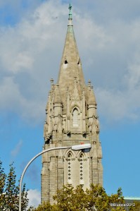 DSC_7946-001