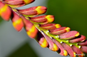 DSC_1540-001