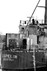 DSC_2681 - Version 2