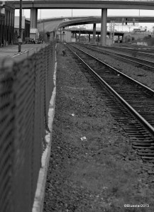 DSC_0023 - Version 2-001