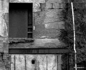 DSC_0025 - Version 2-001