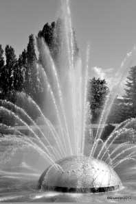 DSC_6785 - Version 2-001