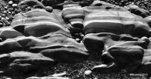 DSC_3493 - Version 2-001