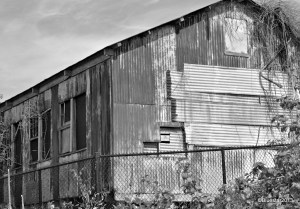 DSC_7261 - Version 2-001