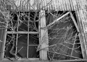 DSC_7269 - Version 2-001