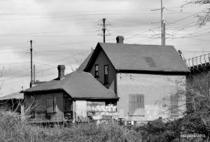 DSC_4010 - Version 2-001