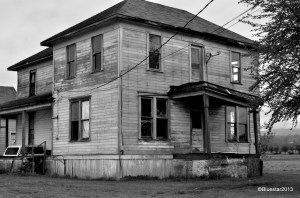 DSC_4041 - Version 2-001