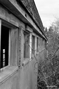 DSC_4048 - Version 2-001