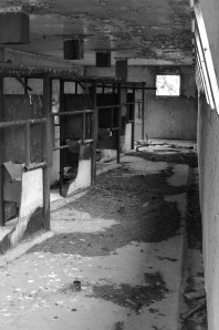 DSC_4049 - Version 2