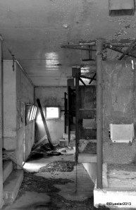 DSC_4084 - Version 2-001