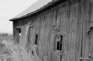 DSC_4127 - Version 2-001