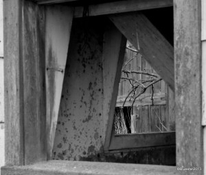 DSC_4131 - Version 2-001