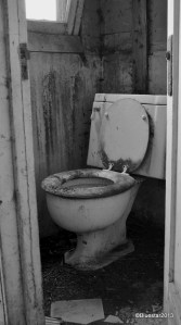 DSC_4135 - Version 2-001