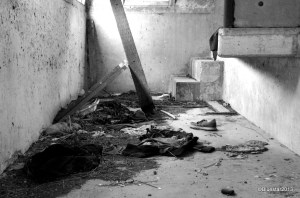 DSC_4145 - Version 2-001