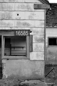 DSC_4157 - Version 2-001