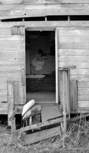 DSC_4231 - Version 2-001