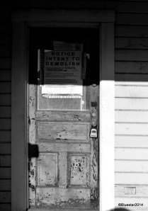 DSC_4638 - Version 2-001