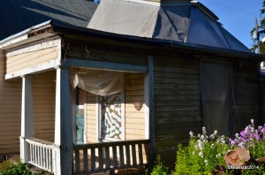 DSC_4642-001