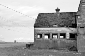 DSC_4110 - Version 2-001