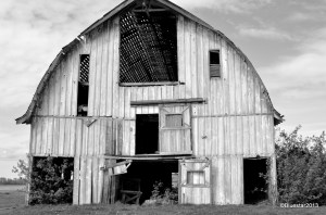 DSC_4183 - Version 2-001