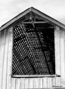 DSC_4184 - Version 2-001