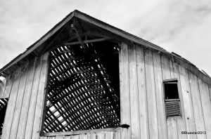 DSC_4185 - Version 2-001