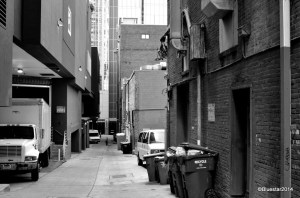 DSC_4774 - Version 2-001