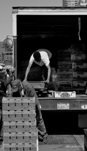 DSC_4804 - Version 2-001