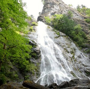 SAMSUNG CAMERA PICTURES