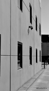 DSC_5095 - Version 2-001