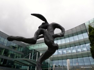 SAMSUNG CAMERA PICTURES