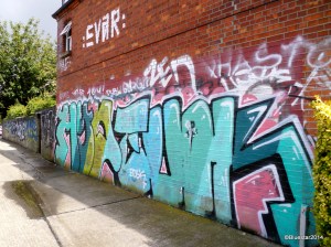 SAMSUNG CAMERA PICTURES