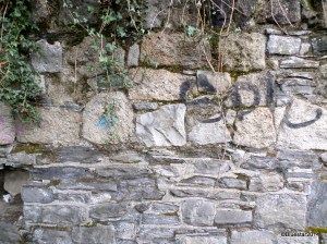 SAMSUNG CAMERA PICTURES