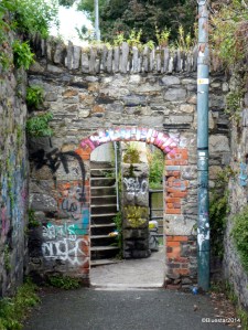 SAMSUNG CAMERA PICTURES