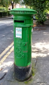 SAMSUNG CAMERA PICTURES