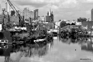 DSC_5361 - Version 2