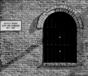 DSC_5374 - Version 2